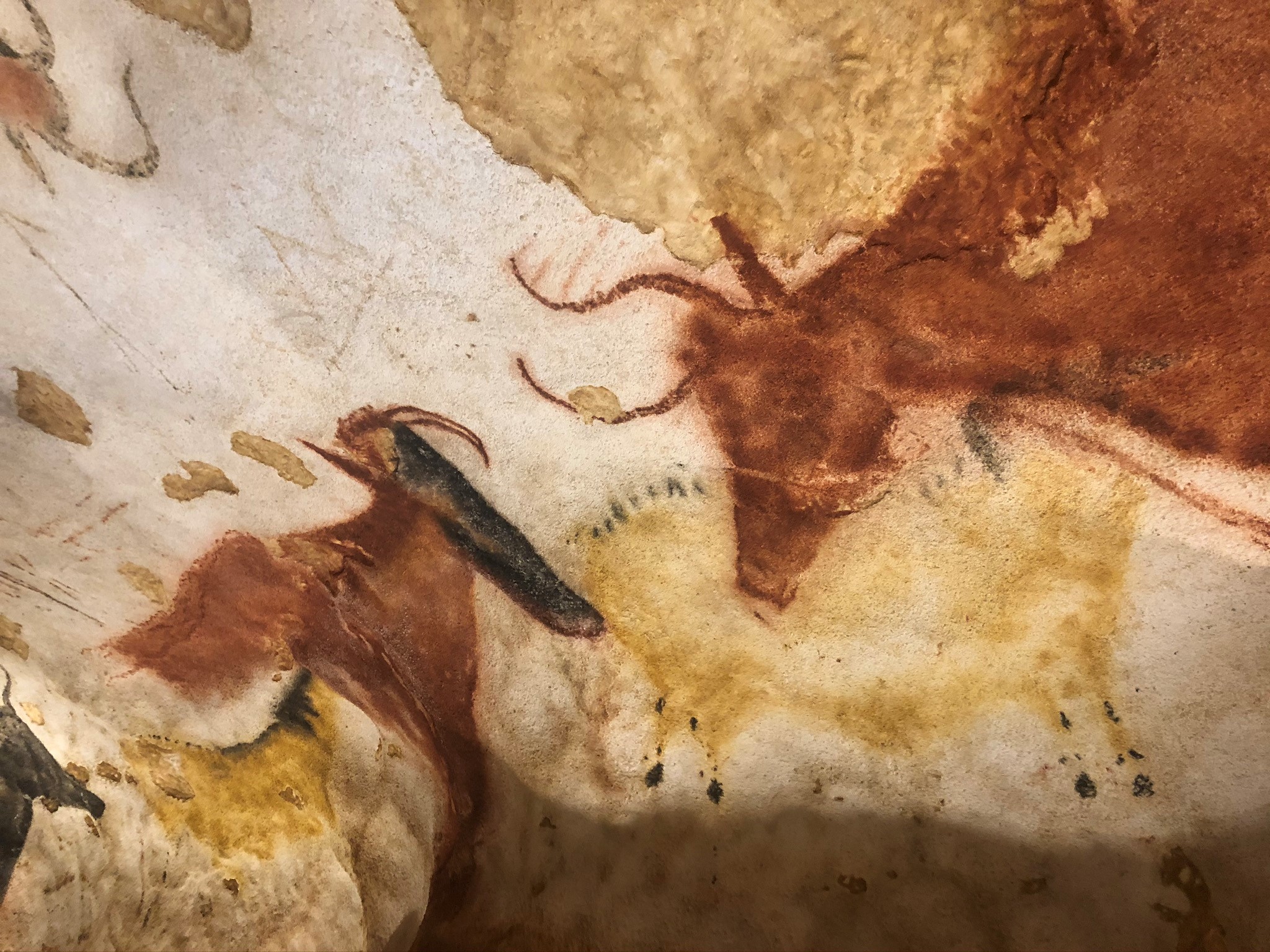 La grotte de Lascaux